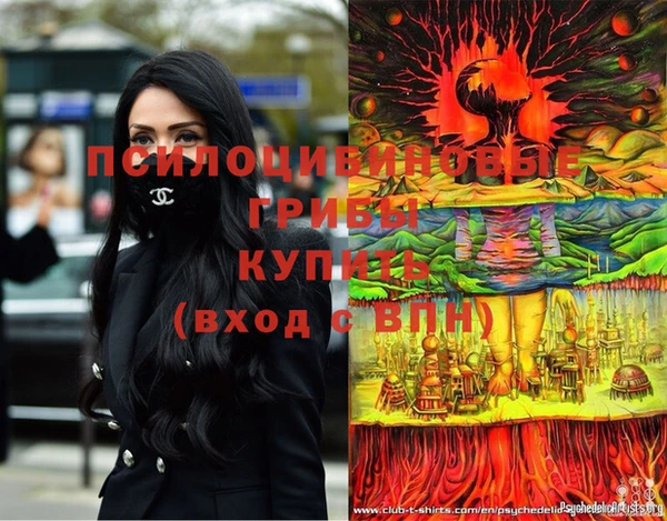прущие крисы Балахна